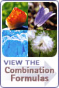 View the Combination Formulas