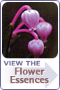 View the Flower Essences
