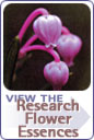 View the Research Flower Essences